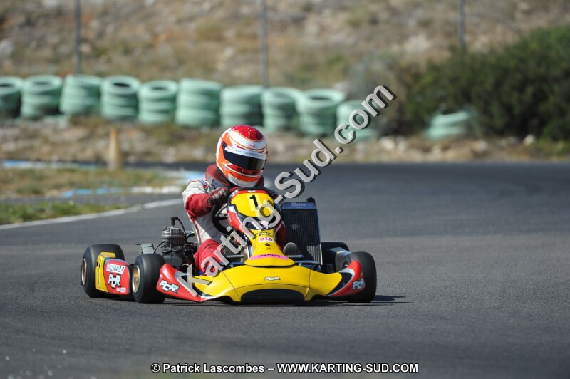 DSC (926).JPG